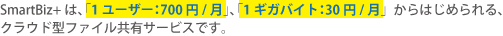 SmartBiz+は、「1ユーザー：\700/月」、「1ギガバイト：\30/月」からはじめられる、クラウド型ファイル共有サービスです。